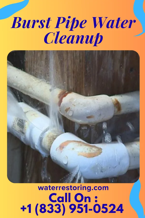 Burst Pipe Water Cleanup in Apple Mountain Lake, VA