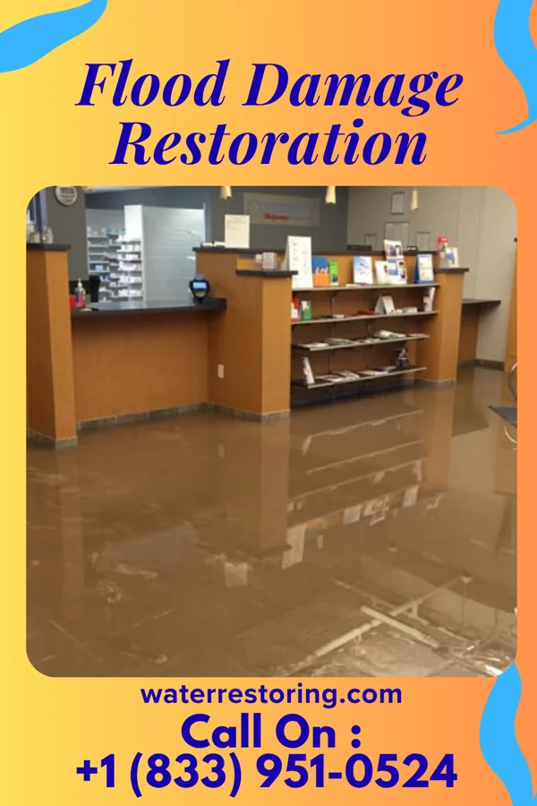 Flood Damage Restoration in Apple Mountain Lake, VA