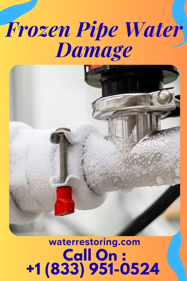 Frozen Pipe Water Damage in Apple Mountain Lake, VA