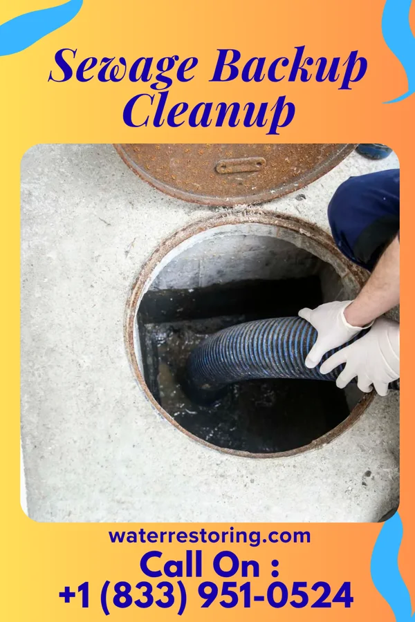 Sewage Backup Cleanup in Apple Mountain Lake, VA