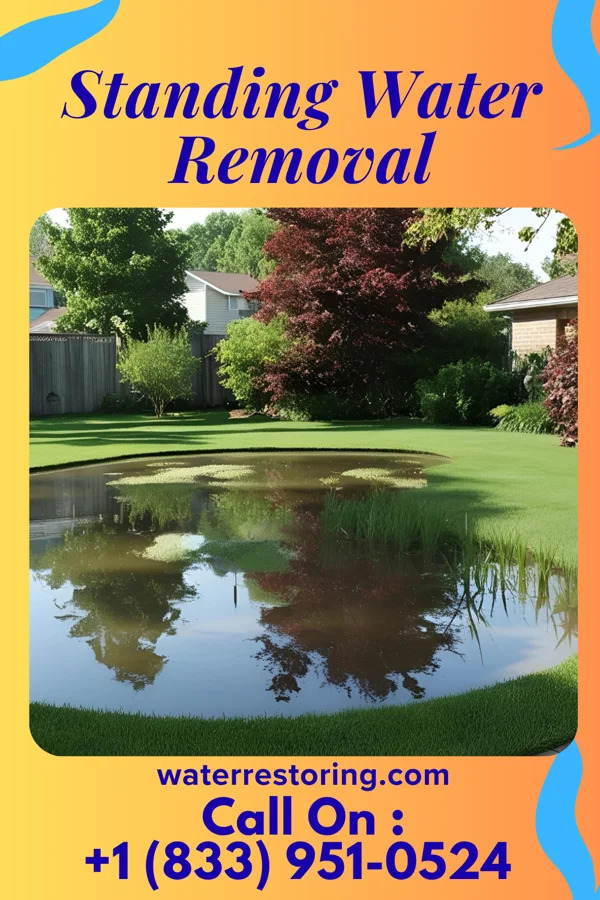 Standing Water Removal in Apple Mountain Lake, VA